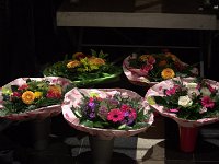 Geiger 16.7.2016 240